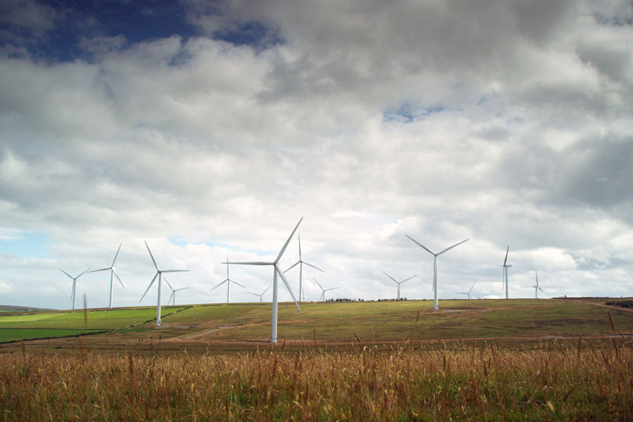 wind farm